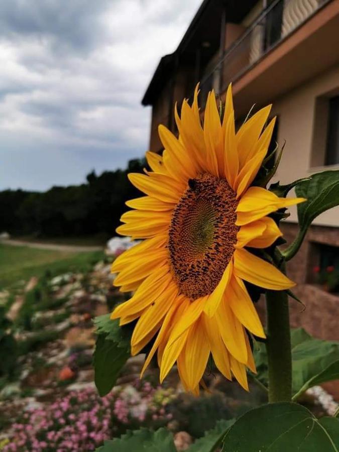 Пиргуля Hotel Miladinovtsi ภายนอก รูปภาพ
